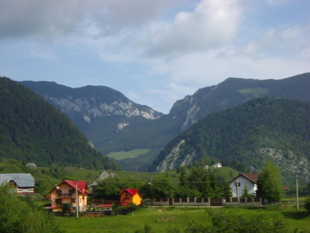 Garofita Pietrei Craiului Hotel Pestera  Exterior photo